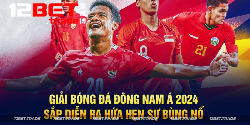 Giải bóng đá Đông Nam Á 2024 sắp diễn ra hứa hẹn sự bùng nổ 