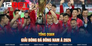 Giải Bóng Đá Đông Nam Á 2024 - Khám Phá Tổng Quan Sự Kiện Đỉnh Cao