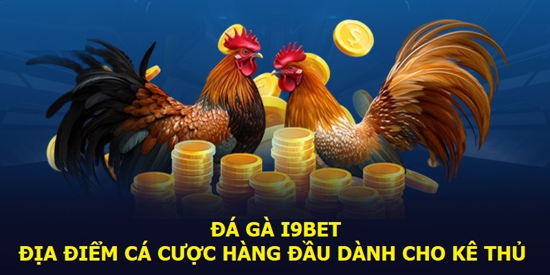 Các hình thức chọi kê phổ biến tại i9bet