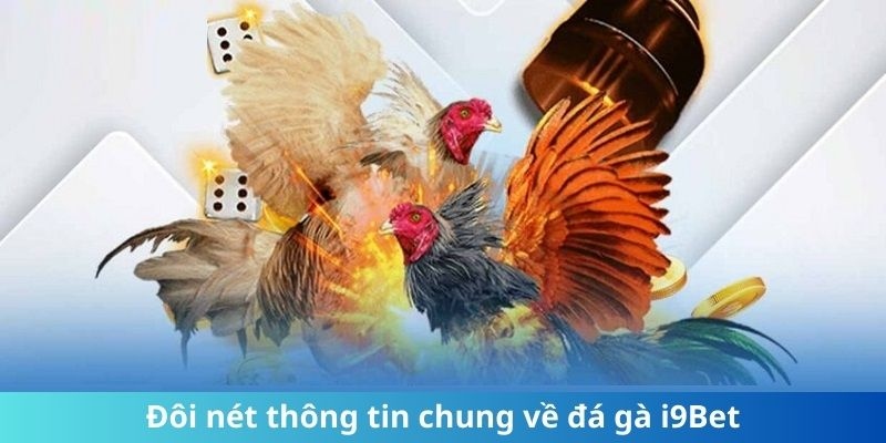 Đôi nét bao quát về sảnh đá gà i9bet